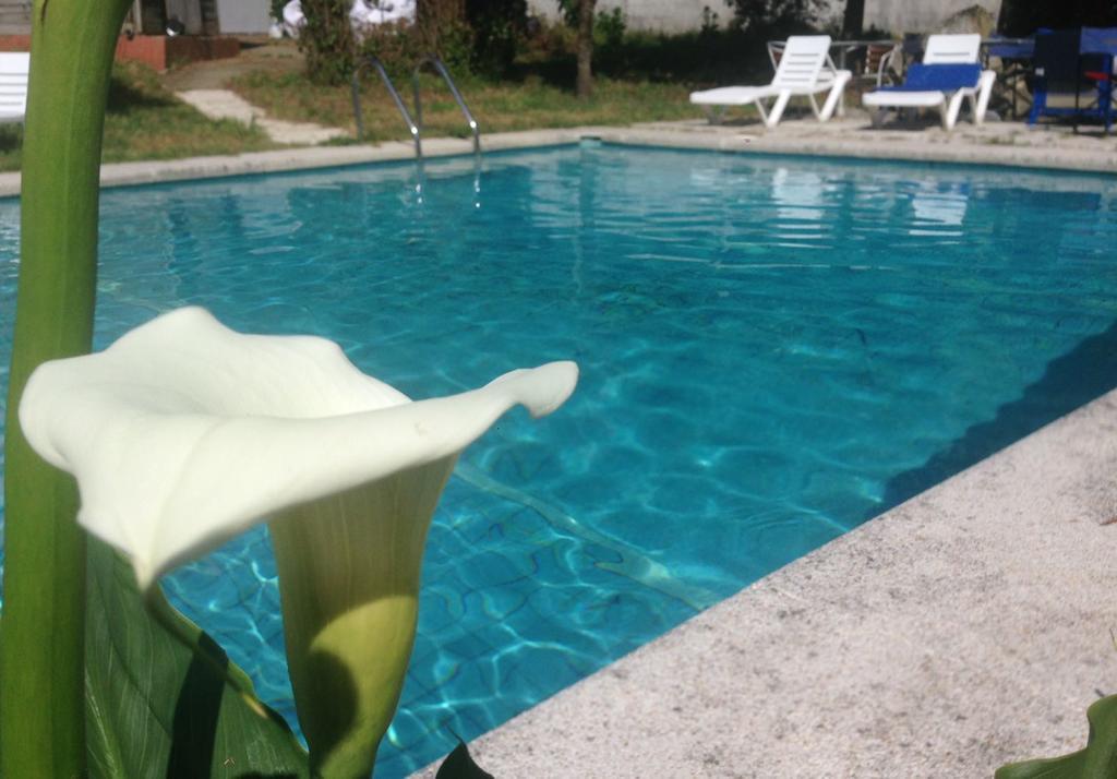 Hotel Vida Playa Paxarinas ポルトノボ エクステリア 写真